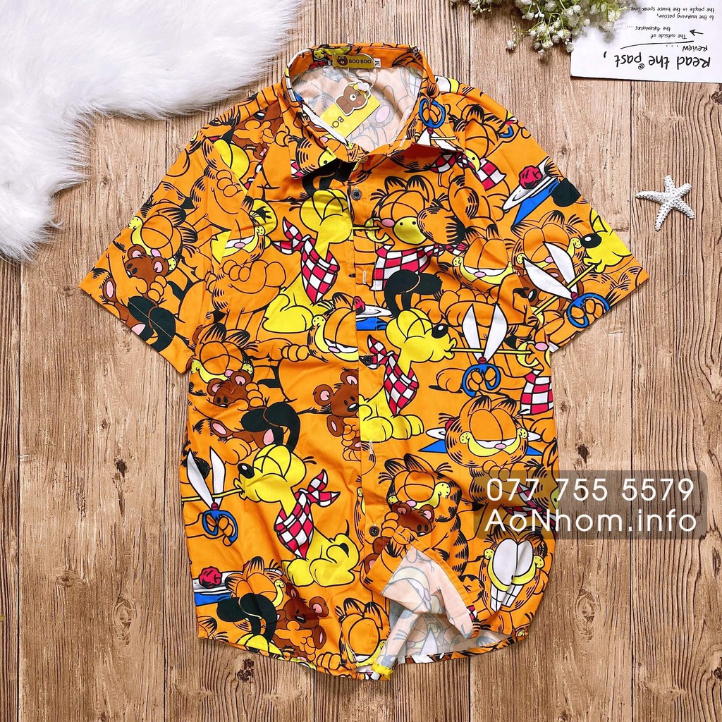 Bán Lẻ và Bán Nguyên Set (Đủ Bộ) - Mèo Doremon, Mèo Garfield