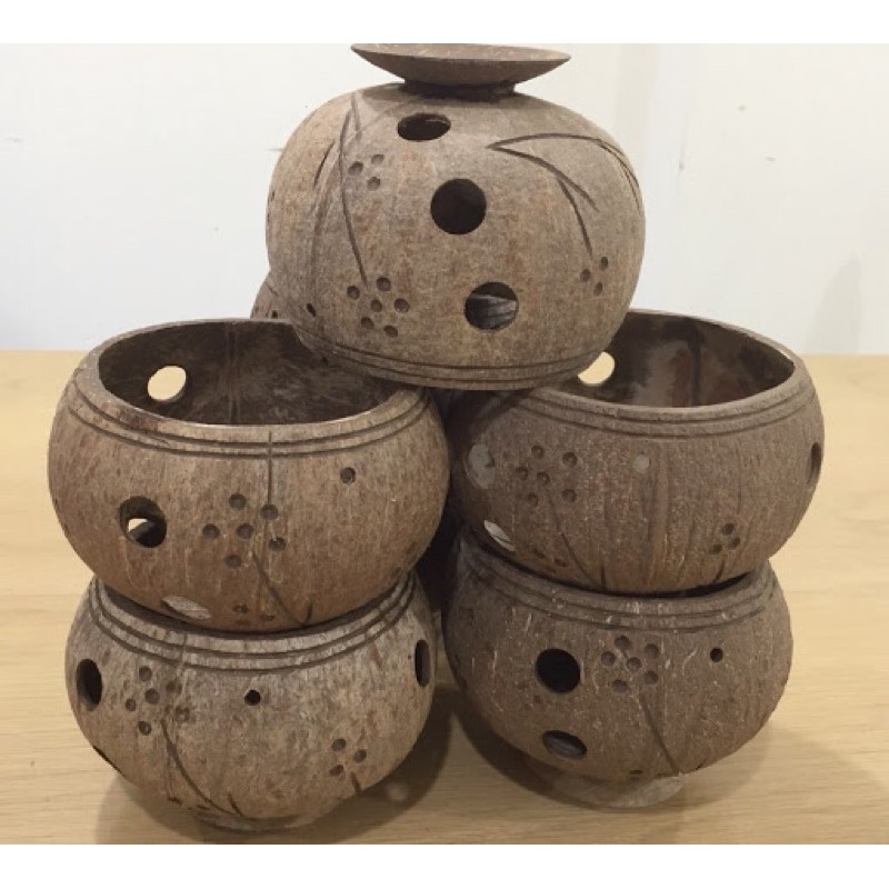 Gáo dừa trồng lan