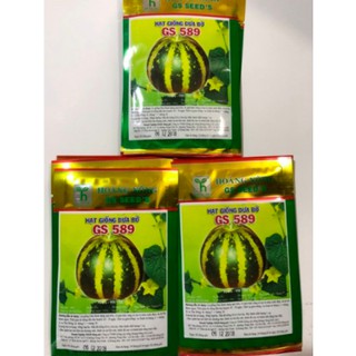 HẠT GIỐNG DƯA BỞ GS589 gói 10gr HOÀNG NÔNG SEEDS