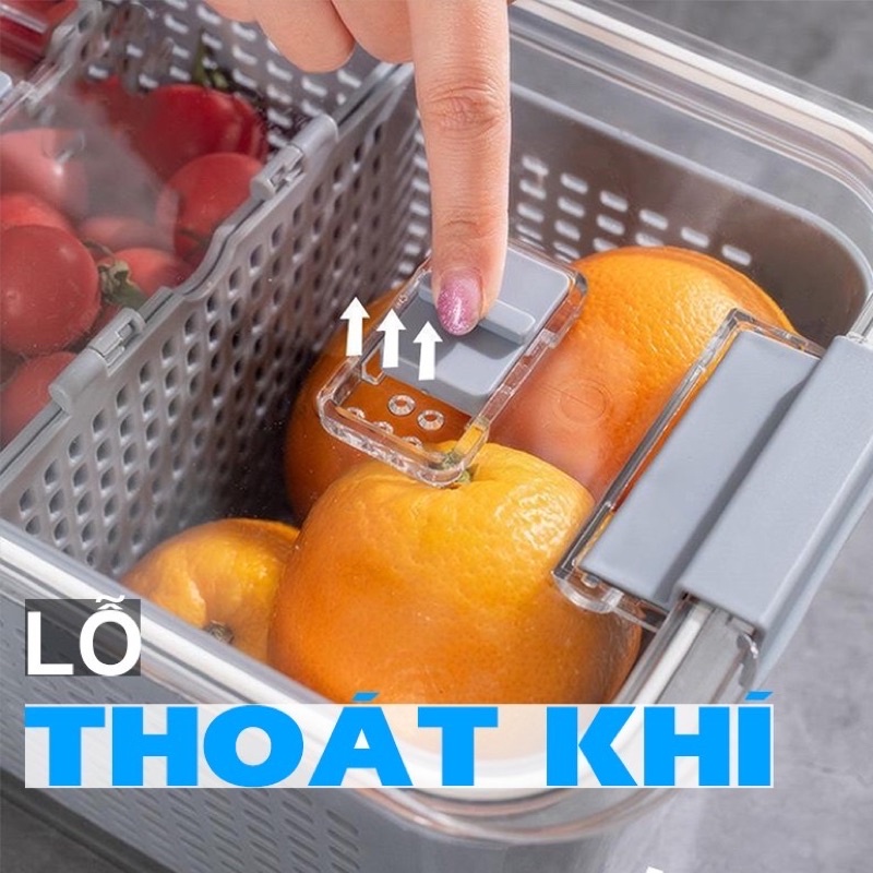 HỘP ĐỂ ĐỒ THỰC PHẨM ĐỂ TỦ LẠNH ĐA NĂNG KÈM RỔ , CÓ LỖ THOÁT KHÍ VÀ KHAY RÁO NƯỚC.