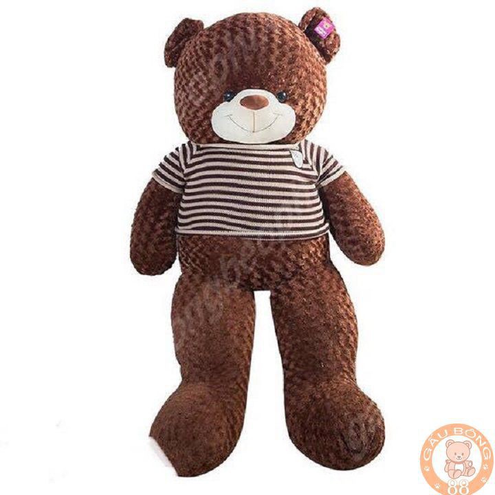 ( Rẻ vô địch ) Gấu Bông Teddy cao cấp khổ vải 1m8 cao 1m6