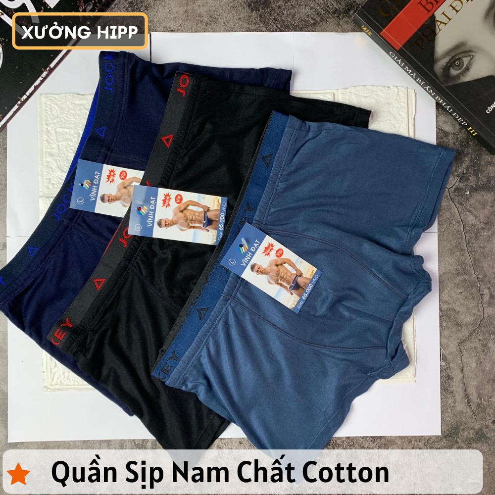 Quần sịp đùi nam chất cotton mềm nhẹ mặc như không, co giãn 4 chiều - 2SĐ2C