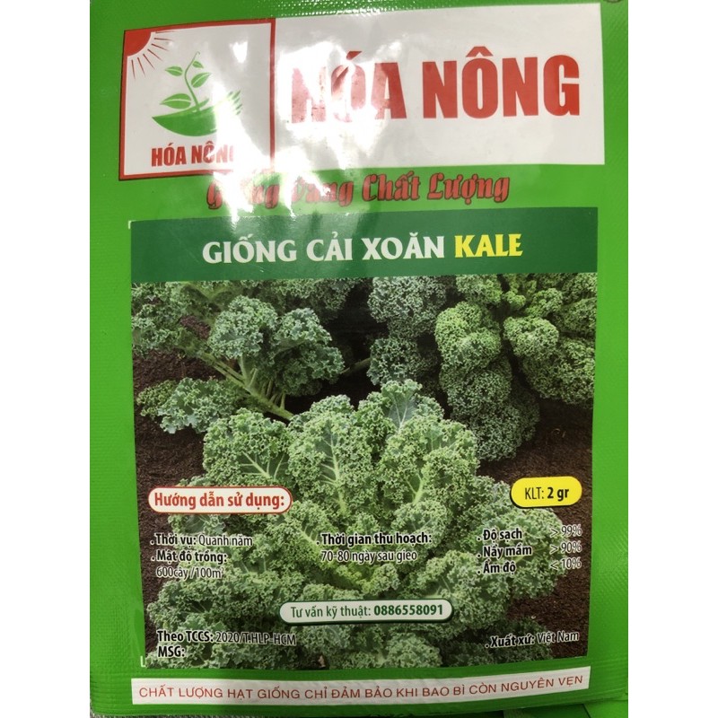 Hạt giống cải xoăn / Cải kale ☘️