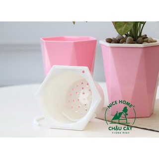 Chậu cây tự dưỡng thông minh - U09
