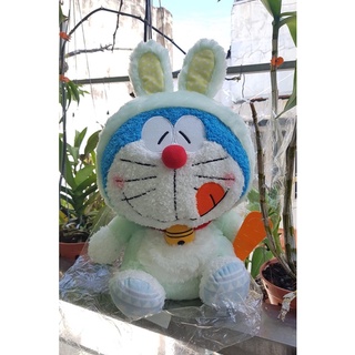 Gấu bông Nhật Bản các loại