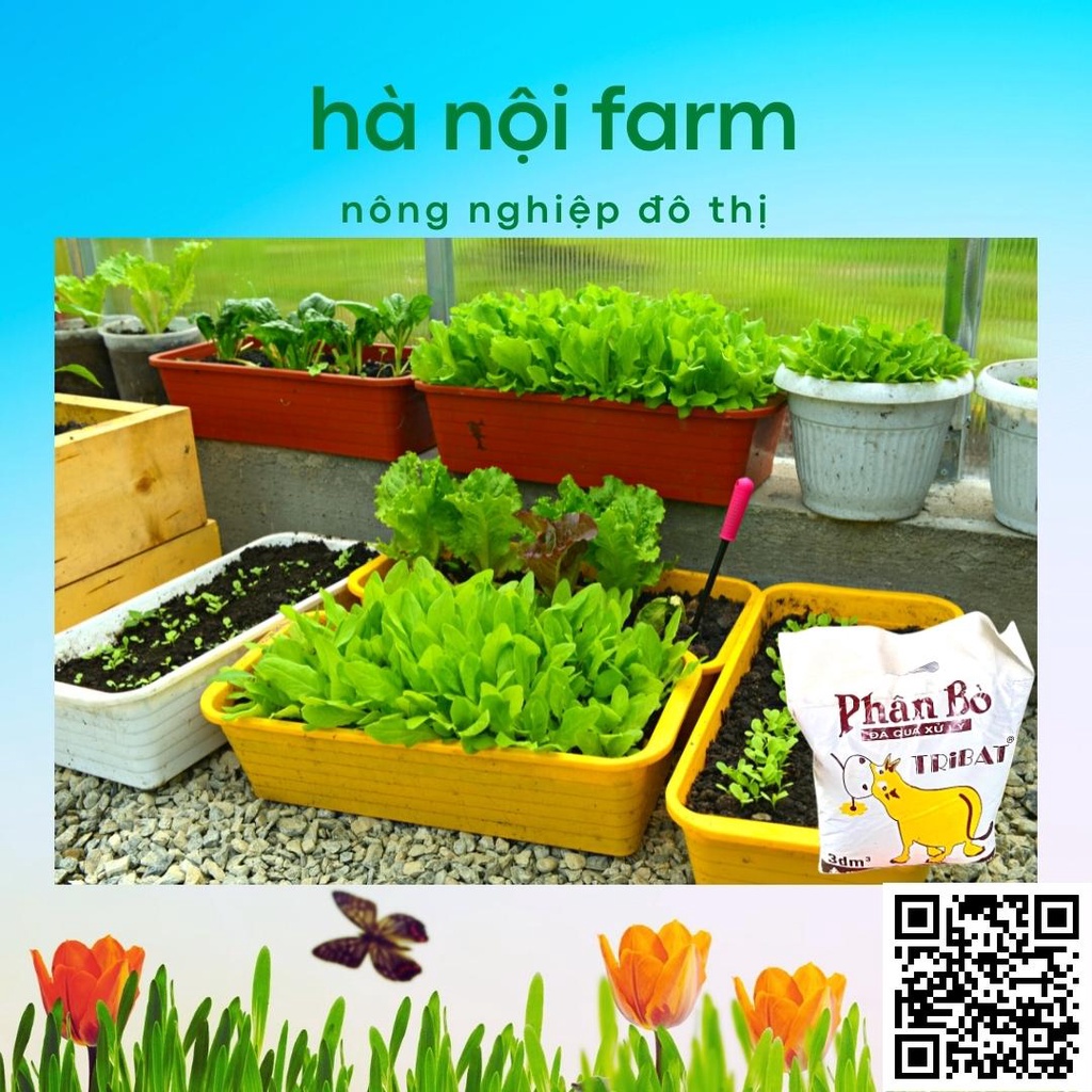 Phân bò khô, phân bò tự nhiên đã qua xử lý dùng cho mọi loại cây trồng gói 800g