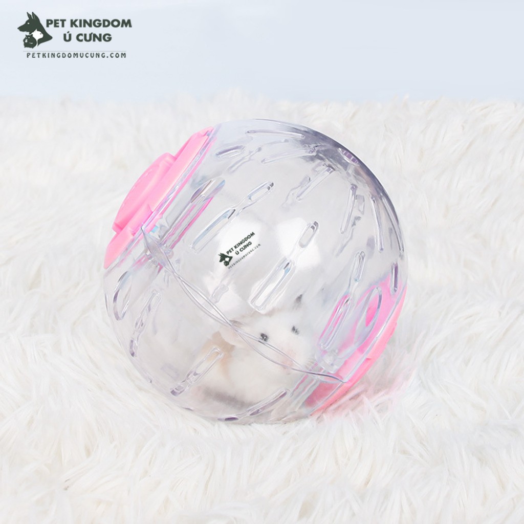 bóng chạy mika hamster