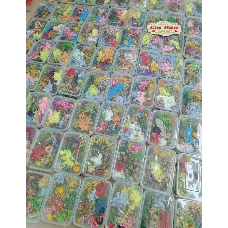 hoa khô tổng hợp lựa ngẫu nhiên 30k /1 hộp