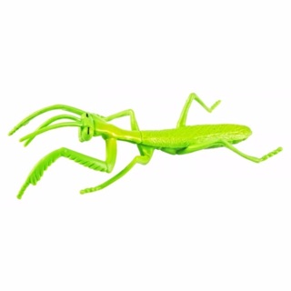 MÔ HÌNH CÔN TRÙNG SAFARI