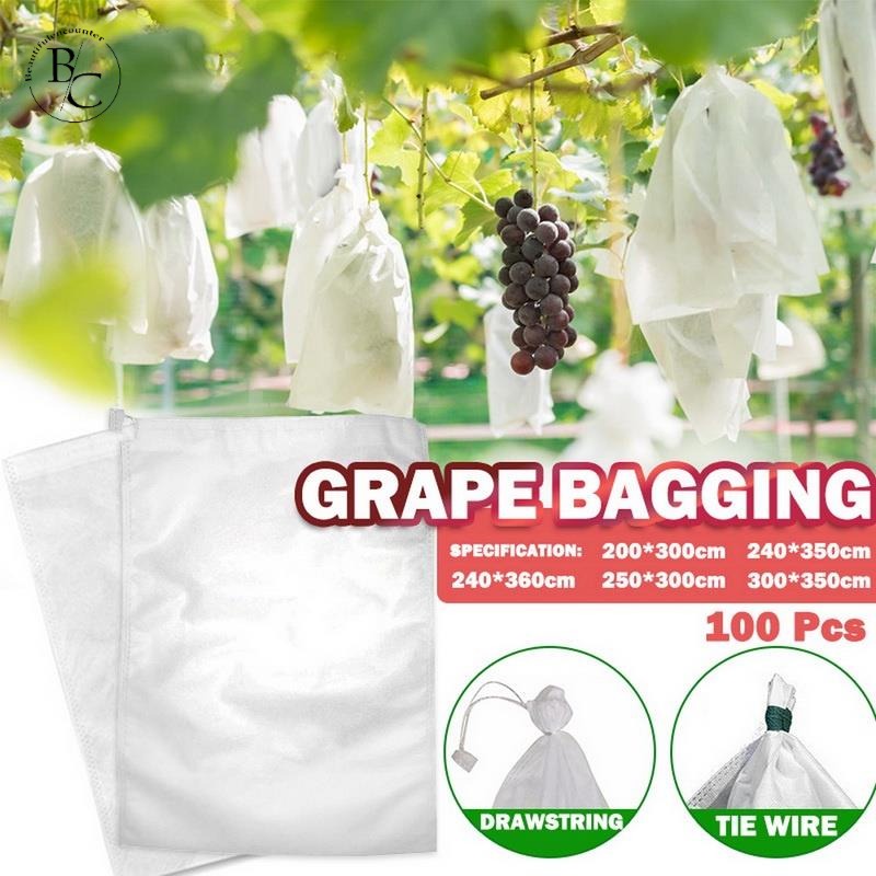 Set 100 Túi Lưới Bọc Bảo Vệ Rau Củ Quả Chống Côn Trùng Cắn Có Thể Tái Sử Dụng