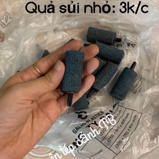 Quả sủi nhỏ cho bể cá cảnh