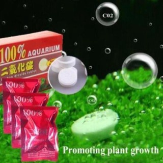 Viên Sủi CO2 100% Cho Bể Thủy Sinh