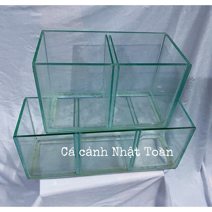 HỒ KÍNH NUÔI CÁ BETTA 1 ĐỀN 3 NGĂN KÍNH DÀY 3MM