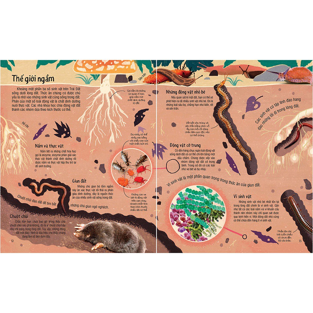 Sách Đinh Tị - Under Your Feet - Dưới Đôi Bàn Chân Bạn - Đất Cát Và Ti Tỉ Thứ Dưới Lòng Đất