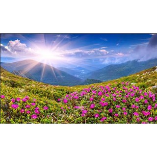 Tranh dán tường Tranh ngàn hoa dưới ành bình minh, tranh dán tường 3d hiện đại (tích hợp sẵn keo)