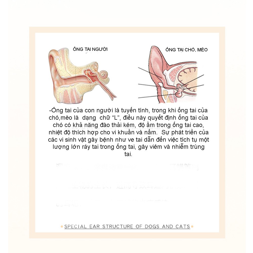 TINH DẦU NHỎ TAI CHO CHÓ MÈO ERKON RỬA TAI CÓ MÙI HÔI VÀ MÀNG TAI CHO CHÓ MÈO