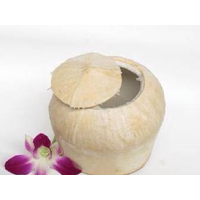 Dừa Tươi Bỏ Vỏ Thanh Mát
