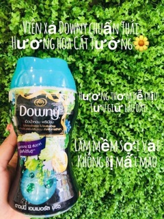 Hộp viên xả Thái Lan Downy