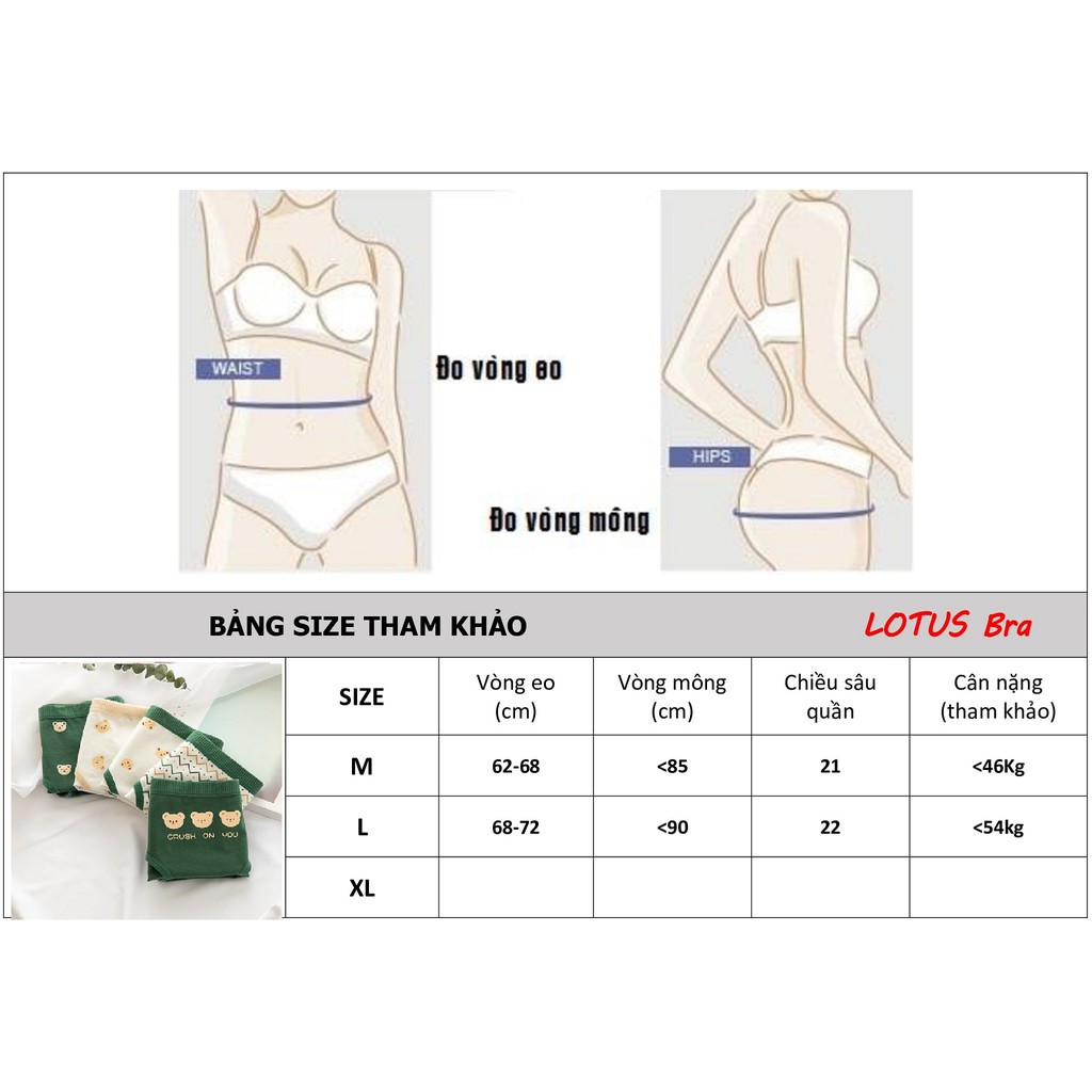Set 5 quần lót nữ dễ thương NuciFera chất cotton hình gấu Crush