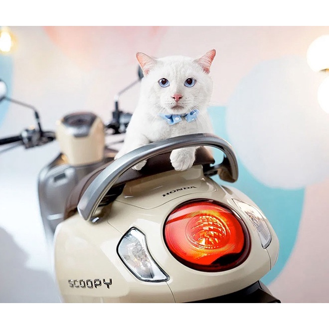 Lót cốp Da dùng cho Honda Scoopy 2021 - 2022, có túi đựng giấy tờ tiện dụng!