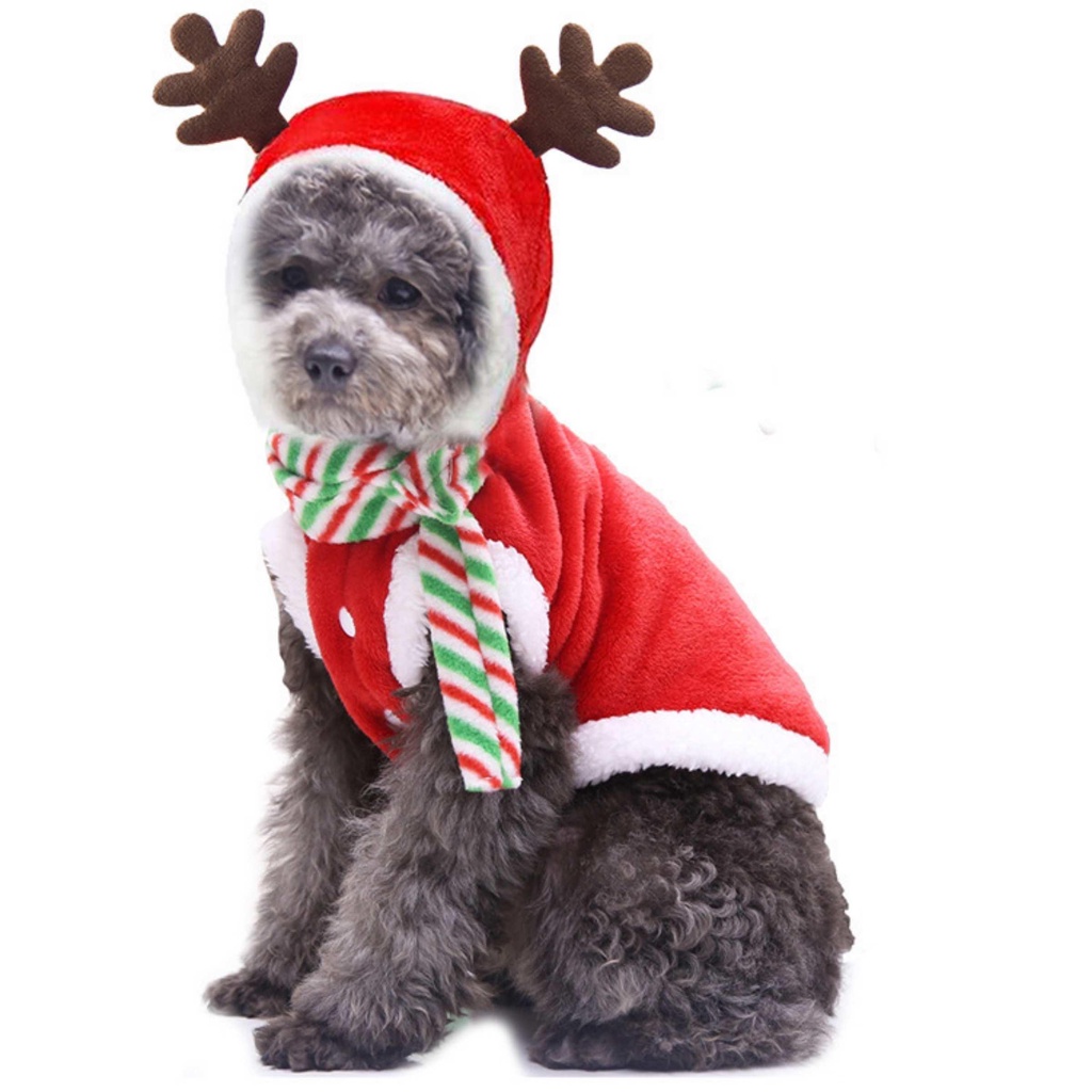 ️❄ Áo noel dành cho chó mèo ( 0,5kg- 10kg ) - BỘ ÔNG GIÀ , CÂY THÔNG️❄