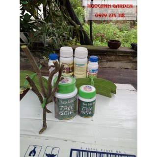 Keo Liền Sẹo cây Mỹ Morrison 200g