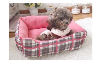 Đệm bông caro cho cún mèo🐶😽