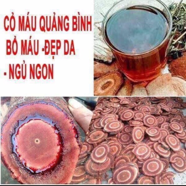 1kg Cỏ máu tăng cân Quảng Bình