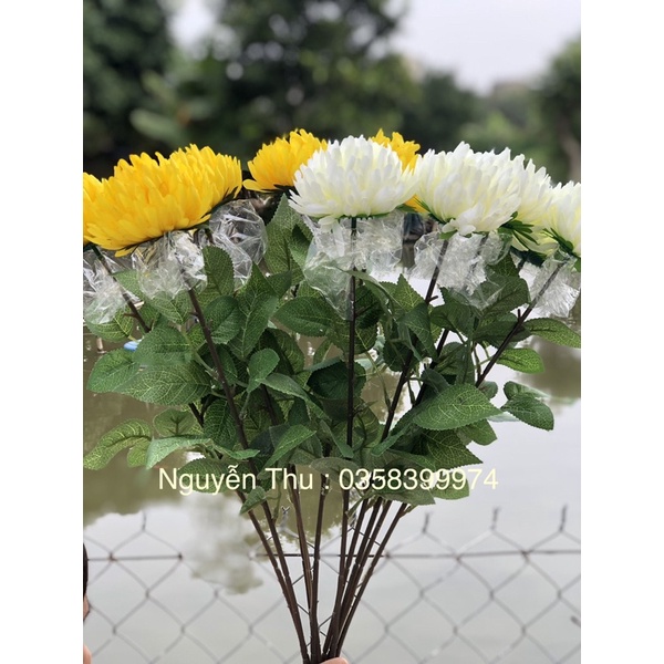 Hoa cúc giả - hoa cúc 1 bông