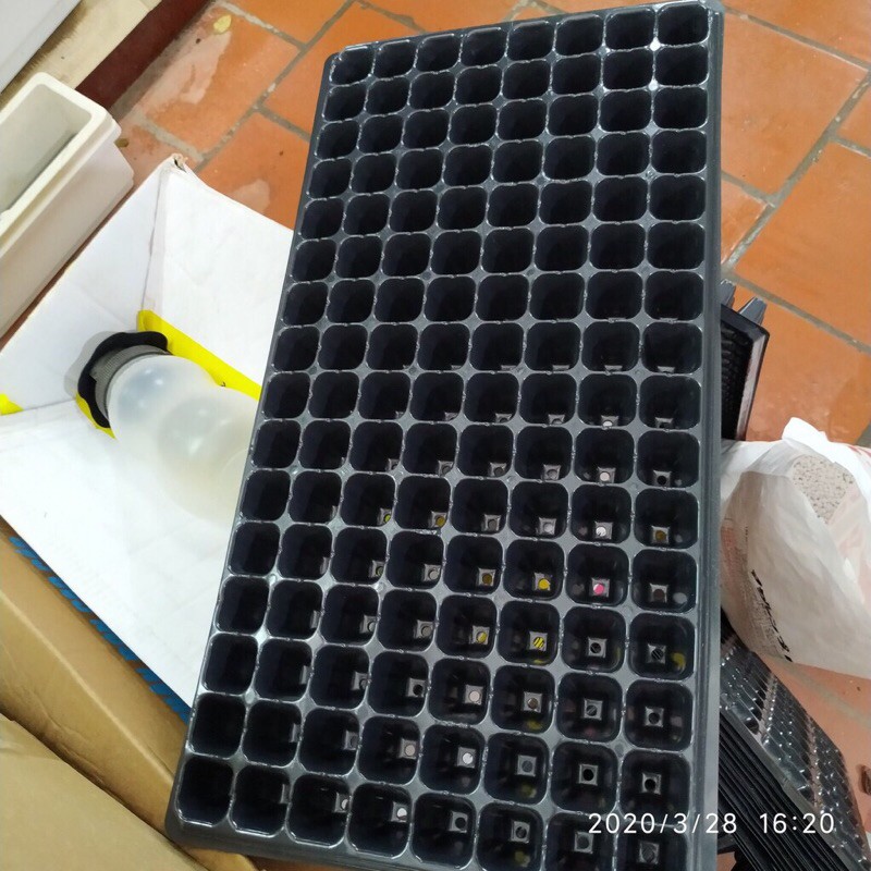 Combo 10 khay nhựa ươm cây