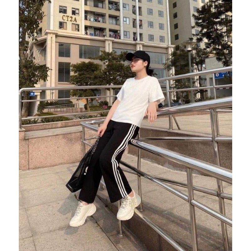 Quần suông sọc cạnh
