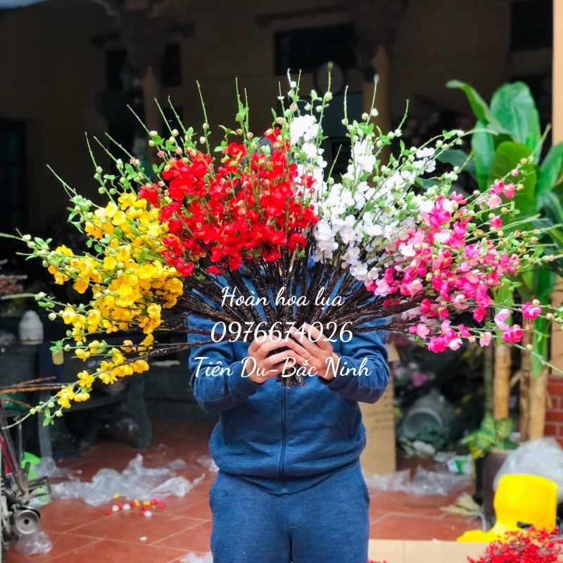 Đào cổ Tết cao 60cm thân mốc hàng loại 1. Nhận sỉ số lượng lớn giá rẻ nhất.