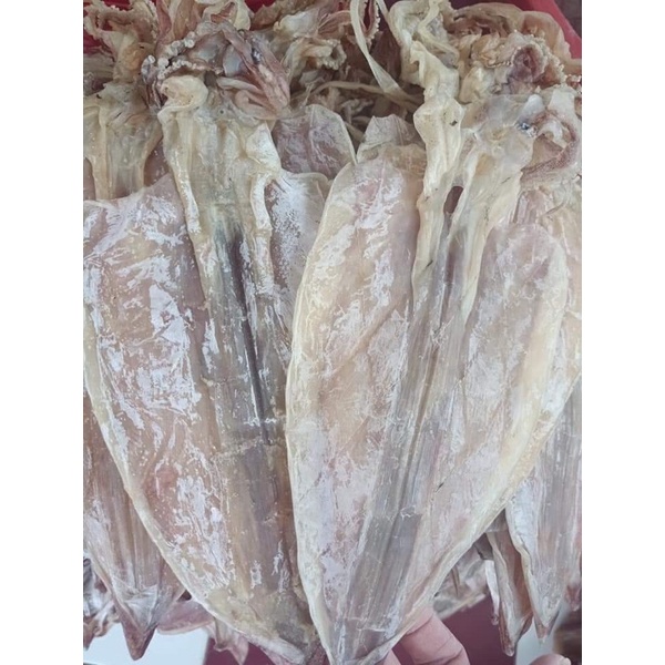 MỰC CÂU KHÔ VÂN DỒN,QUẢNG NINH LOẠI 1 size 12-14 con/kg BAO NGON,NGỌT THỊT,CÀNG NHAI CÀNG NGỌT.QUÀ BiẾU | BigBuy360 - bigbuy360.vn