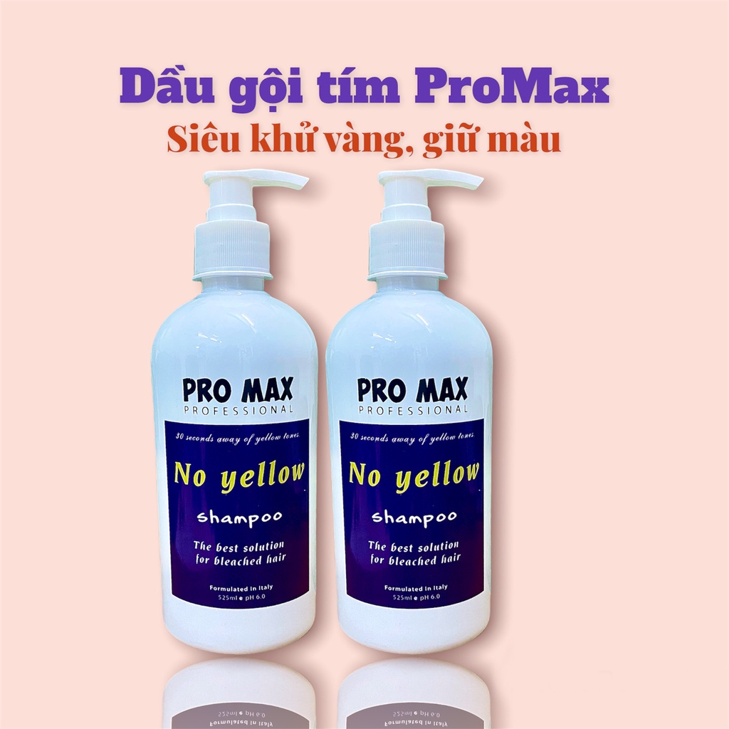 Dầu gội tím Promax, dầu gội khử vàng và giữ màu dành cho tóc tẩy nhuộm màu thời trang | Shop Hair