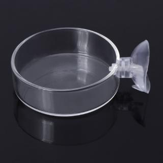 Khay thủy tinh đựng thức ăn dành cho cá cảnh