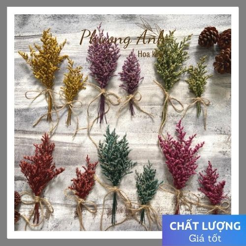 Hoa khô bó dây 🌻 FREESHIP 🌻trang trí thiệp, quà tặng, trang trí trong lọ bình hoa