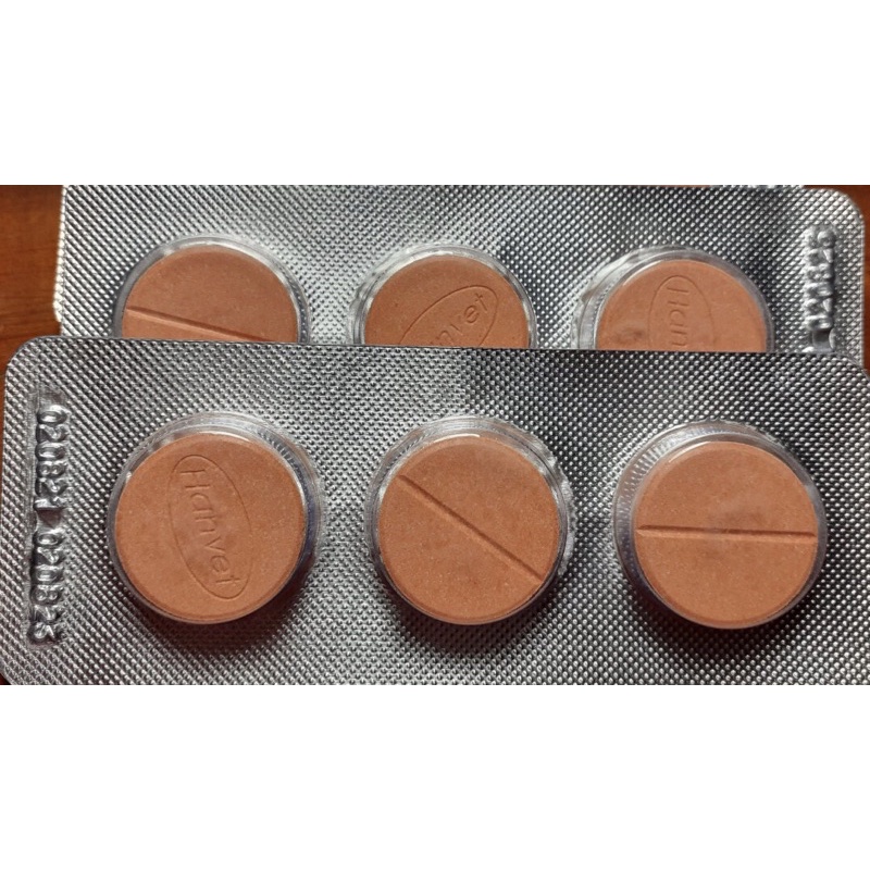 Han Dertin tẩy sán lá gan hiệu quả, 1 vỉ 3 viên