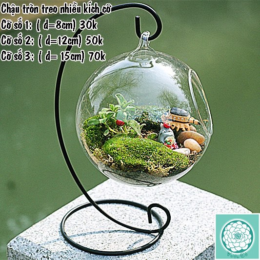 Đế treo chậu thủy tinh