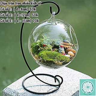 Đế treo chậu thủy tinh