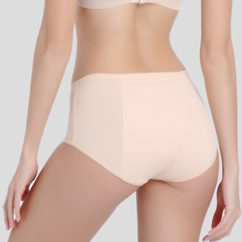 Set 3 quần lót nguyệt san Zxyouping chống tràn thoải mái có size lớn L-6XL cho nữ