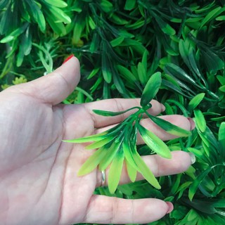 Cỏ điểm  trang trí đủ mẫu 1kg