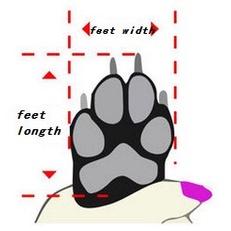 Giày MOLAMGO Thời Trang Cho Thú Cưng