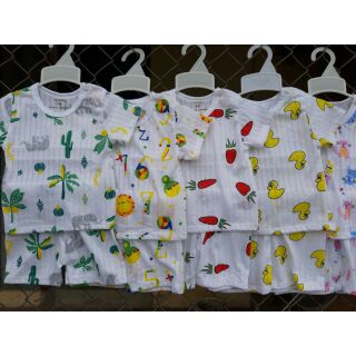 Sỉ 25b cotton giấy đủ size 2-6