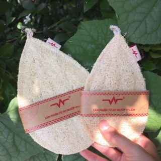 Miếng xơ mướp rửa bát tự nhiên Vi Lâm cỡ lớn 10,5x16cm