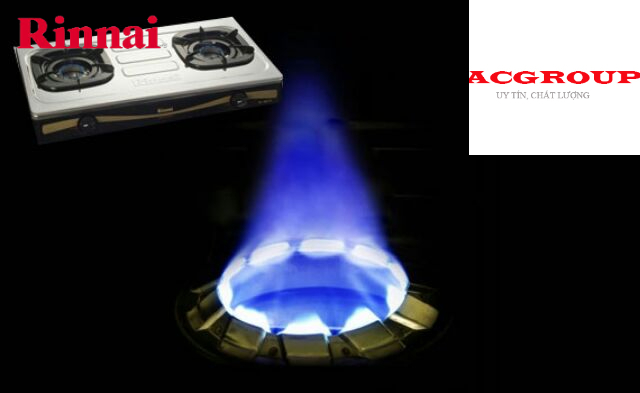 BẾP GAS RINNAI RI-602DI đầu đốt inner burner