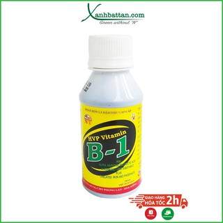 Chế phẩm Vitamin B1 cho lan bổ sung vi lượng dạng đậm đặc 100 ml