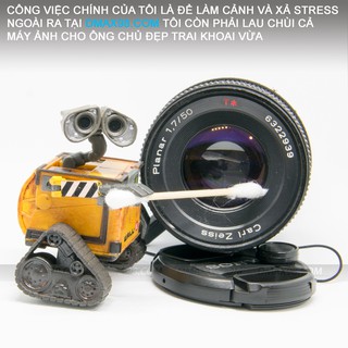 Người máy biết yêu Wall E