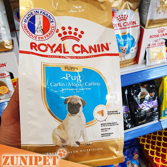 Thức ăn hạt cho chó ROYAL CANIN PUG PUPPY - 500g (Chó con)