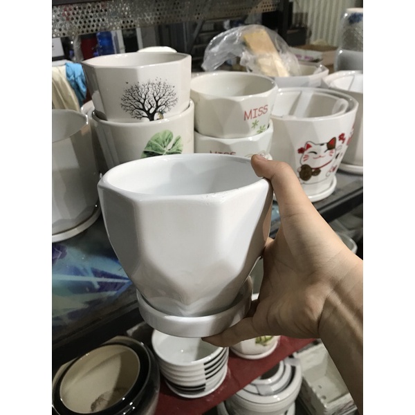chậu sứ trắng có đĩa