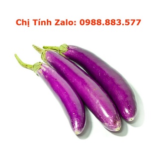 Cà tím đà lạt tươi ngon 0.5 - 1kg | giao siêu tốc 2 tiếng hcm